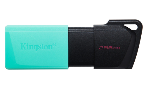 Kingston Kingston Data Traverler