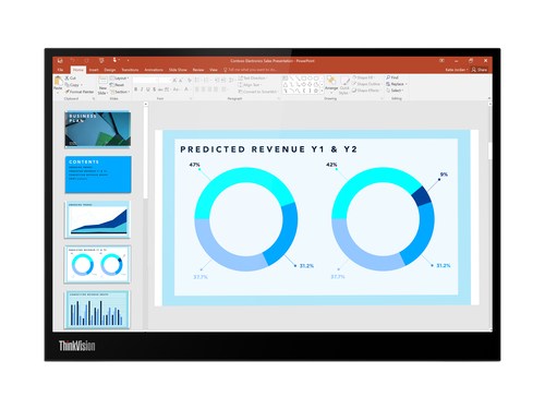 Lenovo M14d 14" MonitorType C