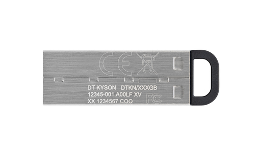 Kingston 256G USB3.2 Gen1 Data Traveler