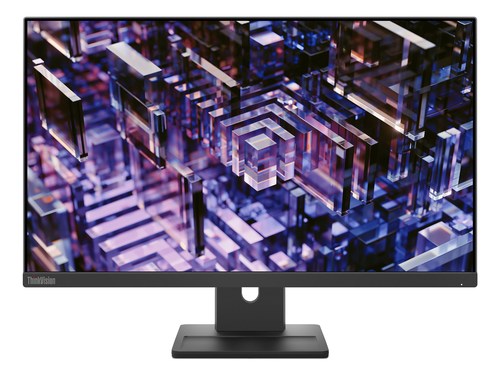 Lenovo TS E24q30 23.8" Monitor