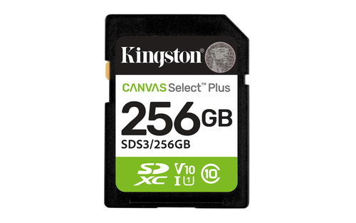 Kingston Kingston SD Card