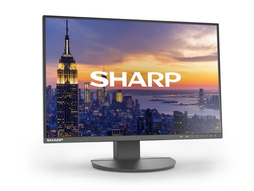 Sharp Electronics Corp. DD EA242W 24" Desktop Monitor