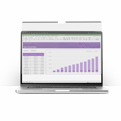 Startech.com 17in Laptop Privacy Screen