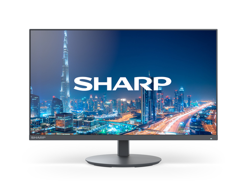Sharp Electronics Corp. 22" DD E224F Desktop Monitor