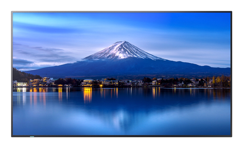 Sharp Electronics Corp. 55" UHD Professional Display