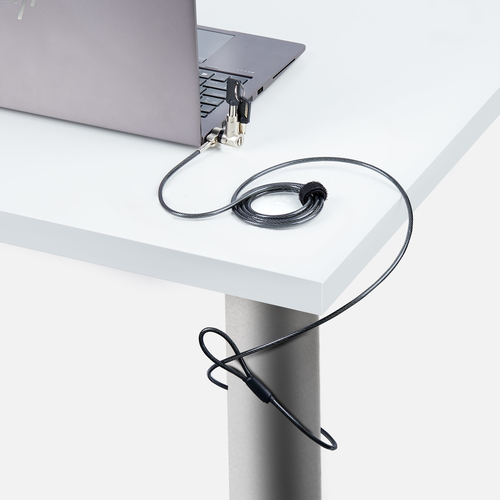 Startech.com Universal Laptop Lock 3 in 1