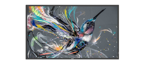 Philips PPDS, TPV-USA Corp 43" Prosumer 18/7 Display